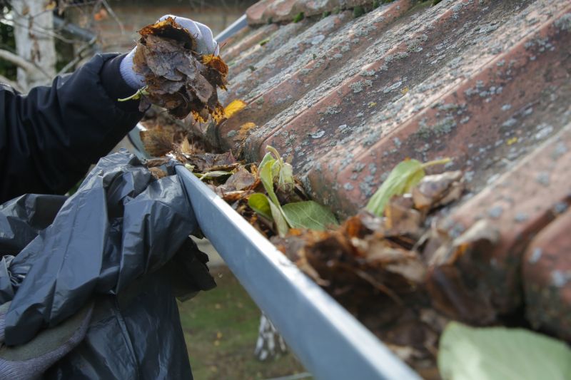Cleaning Gutter Debris