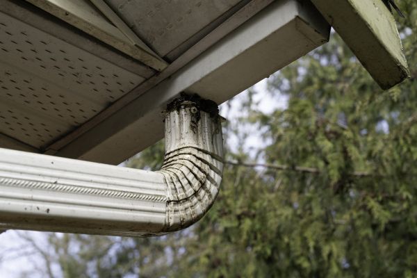 Roof Drain Replacement in Frisco